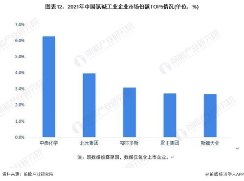 市场规模稳步增长