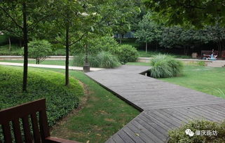 整理资料：耐心与细致的考验