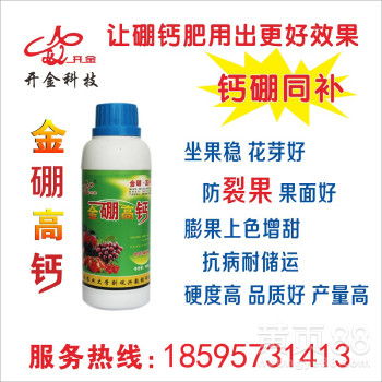 引子：那片硼的阴影