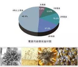 夏季畜牧养殖：饲料安全与卫生管理六要点