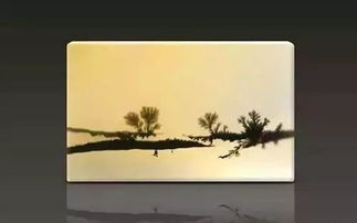 刚柔并济的哲学