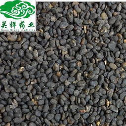 补骨脂：价格悬殊，如何挑选优质采购渠道和鉴别品质？