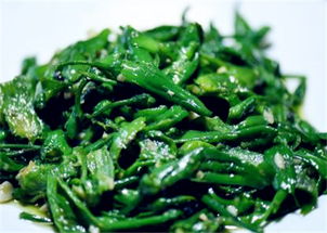 香樟种子的奇妙之旅