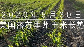 三、自问自答时间