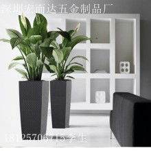 绿植租摆价格：到底啥玩意儿影响它？