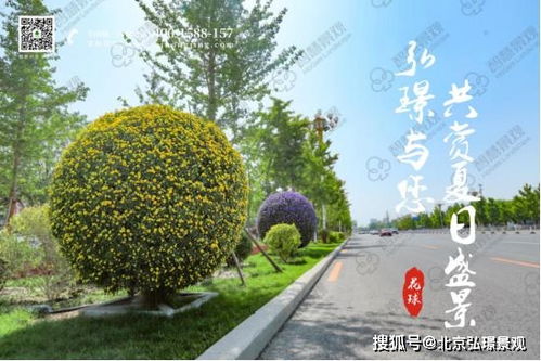 快速成景的秘诀