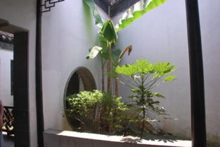 一、 那些绿意盎然的乔木，是大地的守护者