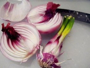 第三步：栽种洋葱