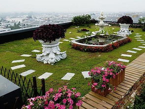 屋顶绿化， 降本新思路