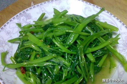 空心菜在哪个季节种植最好？不同地区方法有何差异