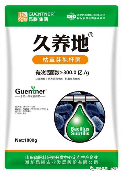 菌肥如何科学施用，才能发挥最佳效果