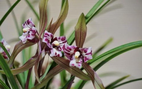 综合护理，你这个小可爱！