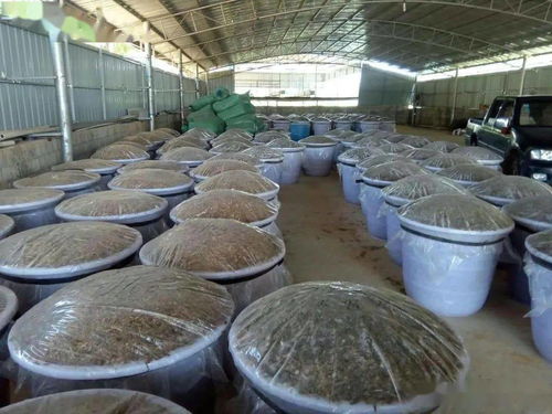 济南饲料贸易公司有哪些高品质的饲料产品适合养殖场使用？