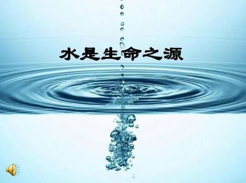 开运竹水养时如何调整水质和光照