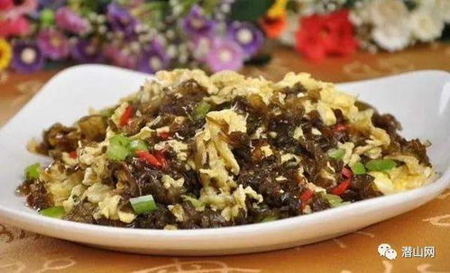 枸杞子与地皮菜：隐藏的高蛋白明星