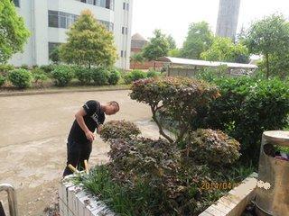 公园植物修剪， 选对工具是关键