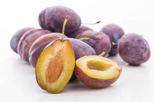 番薯的生命图景