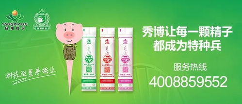 2026年8月24日猪饲料价格表显示，猪价如何影响2026年8月24日猪饲料价格？