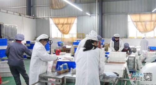 农村从事农产品深加工行业，可提高附加值