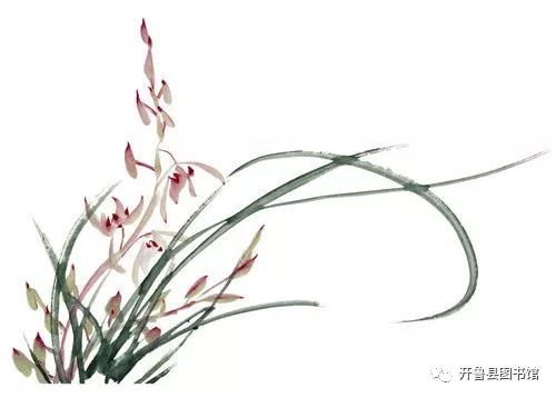兰花作为优雅纯洁的象征，其在中国文化中的美学传承有何独特之处