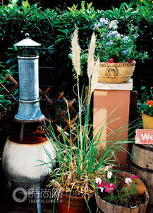 春天庭院种植那些花，既嫩开花又嫩后来啊？