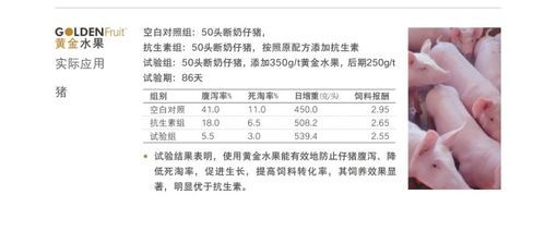大鼠低蛋白饲料配方是否真的能显著提高实验数据的可靠性及准确性？