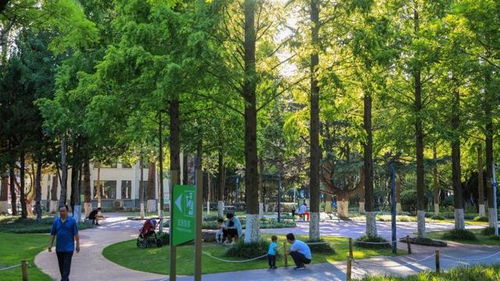 七、 空间布局与功Neng分区