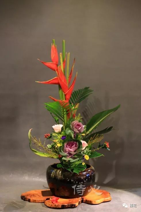 蟹甲兰叶子发黄原因解析