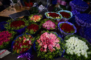斗南花卉市场：广州的花卉天堂