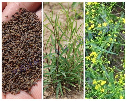 三大指标，必须记住