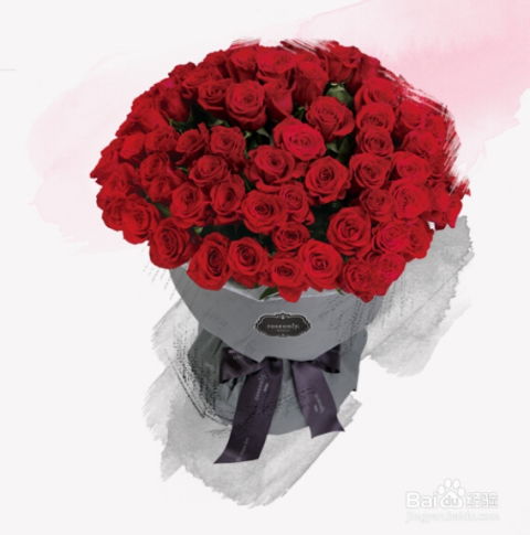 果汁月季，甜蜜浪漫