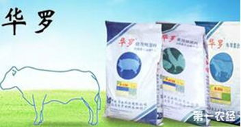武汉华罗饲料有限公司在中国饲料排行中表现如何？华罗饲料的排名是否稳定？