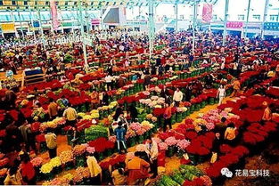 振兴花卉市场，乘坐地铁如何快速抵达