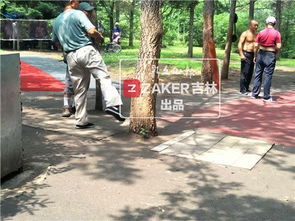 现场直击， 公园换草实验后来啊