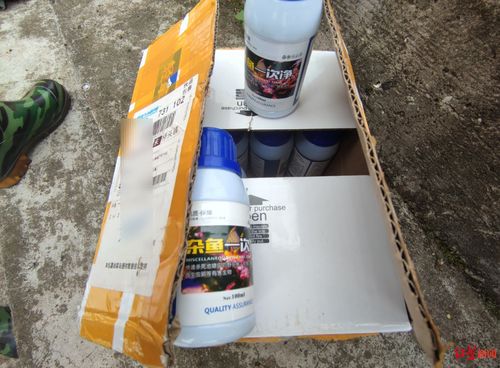 壁虎进车里杀虫剂影响不大