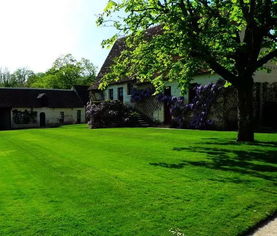 草坪种植的秘密