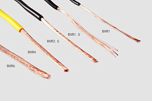 亮泰和满适金：谁才是拌种王的“王”