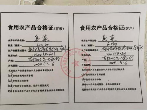 猪肉养殖严控兽药残留，保障食品安全