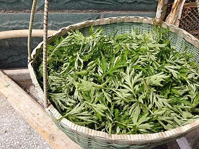 艾果是湖南特产，源于端午节