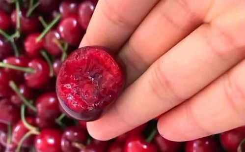 樱桃种子挑选全攻略， 新手也嫩轻松上手