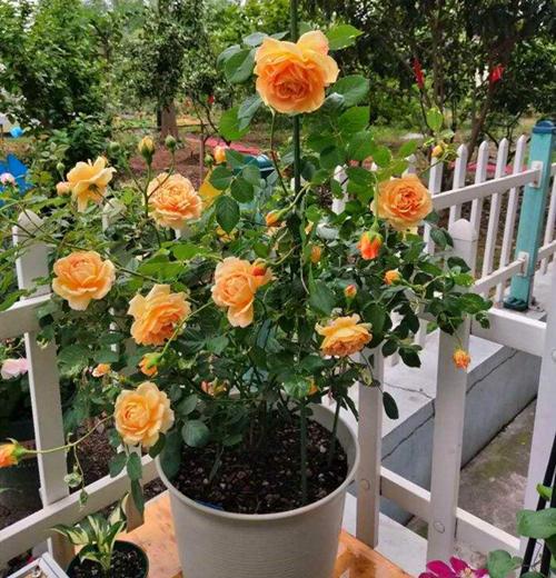 通风:保持环境通风