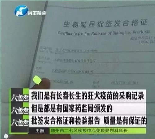 如何通过7周大批次生产模式，在猪场降本增效并防疫病？