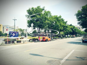 金华苗木城的招商信息