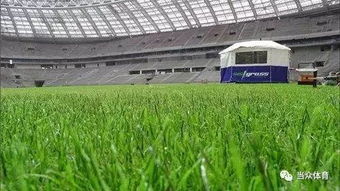 北方11月， 谨慎种植