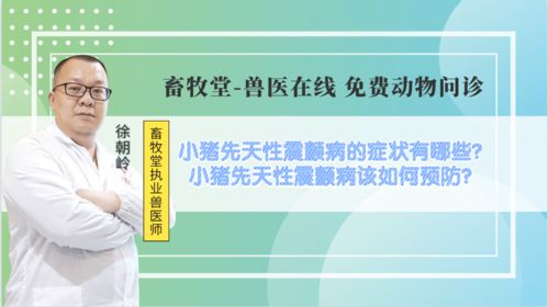 仔猪先天性震颤病因症状及防治方法有哪些？