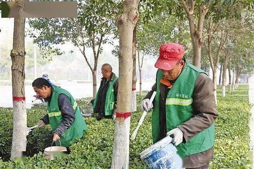 苗木病虫害防治大揭秘