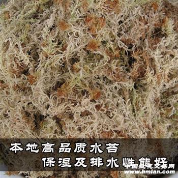 将干水苔不腐烂，其秘密是什么