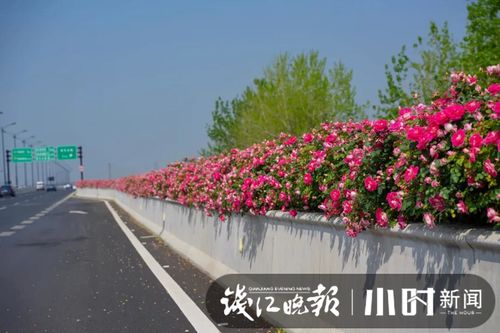 杭州文二路兰桂花园：垃圾分类Zuo得好