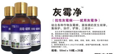 葡萄糖如何战胜灰霉病？