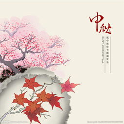 合欢树象征团圆，你真的懂吗